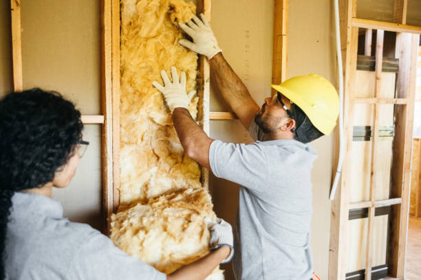 Best Attic Insulation Installation  in Castle Rock, WA