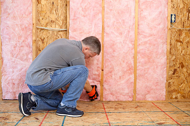 Best Blown-In Insulation  in Castle Rock, WA